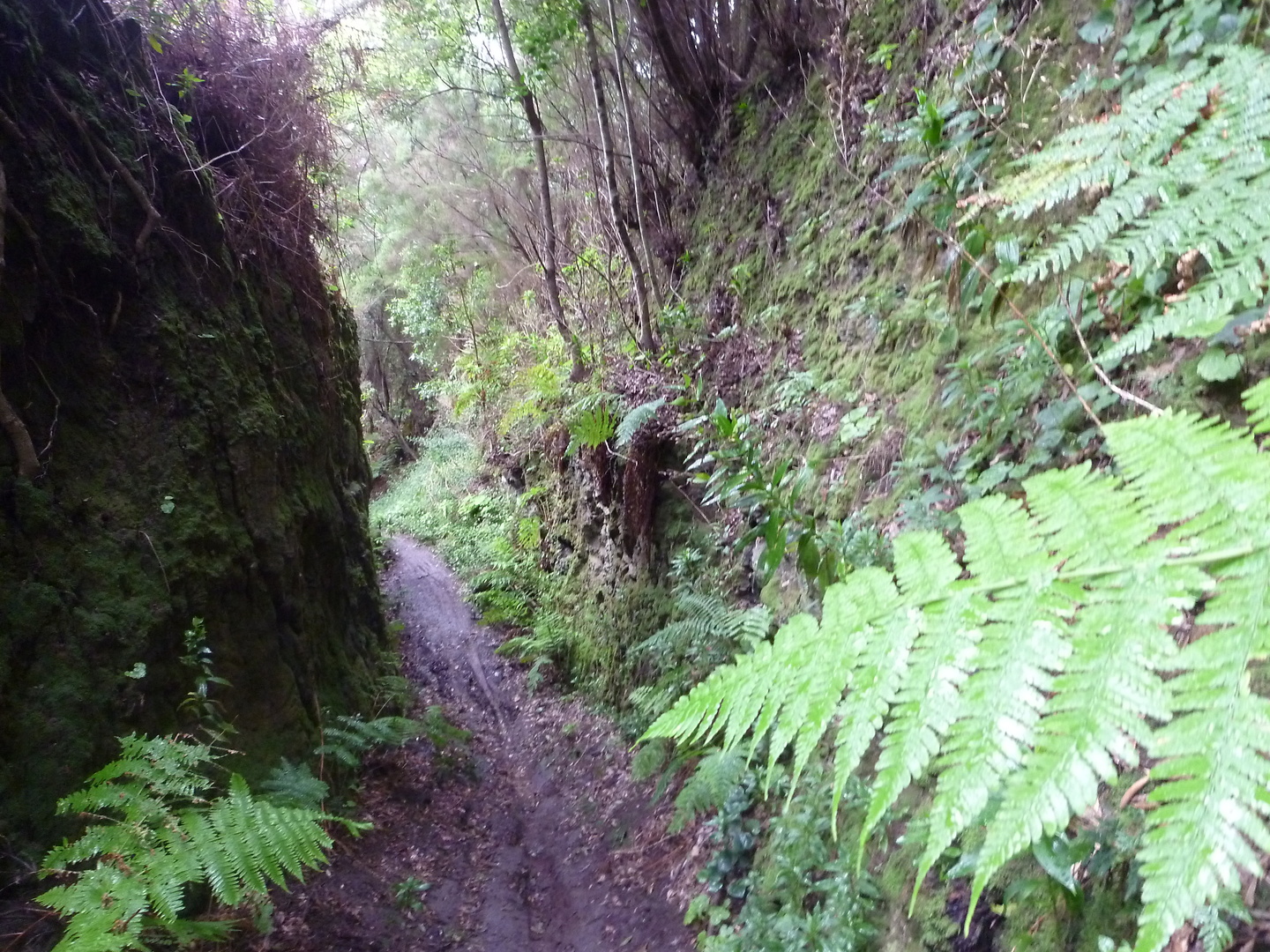 punta-trail08.jpg