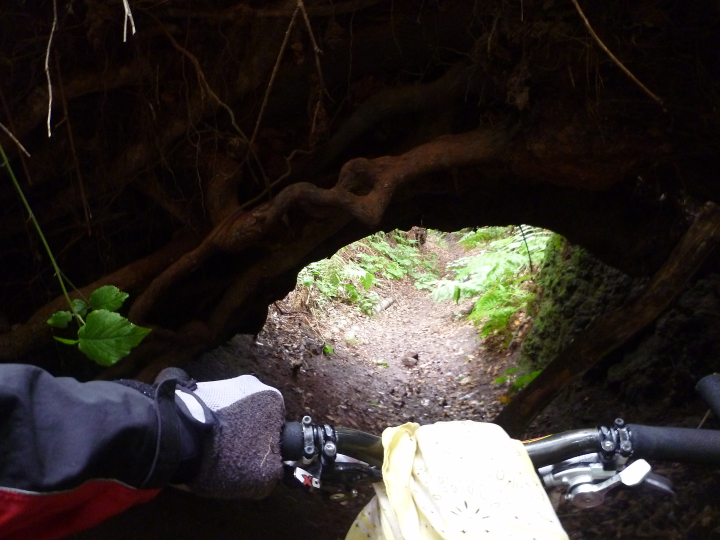 punta-trail09.jpg