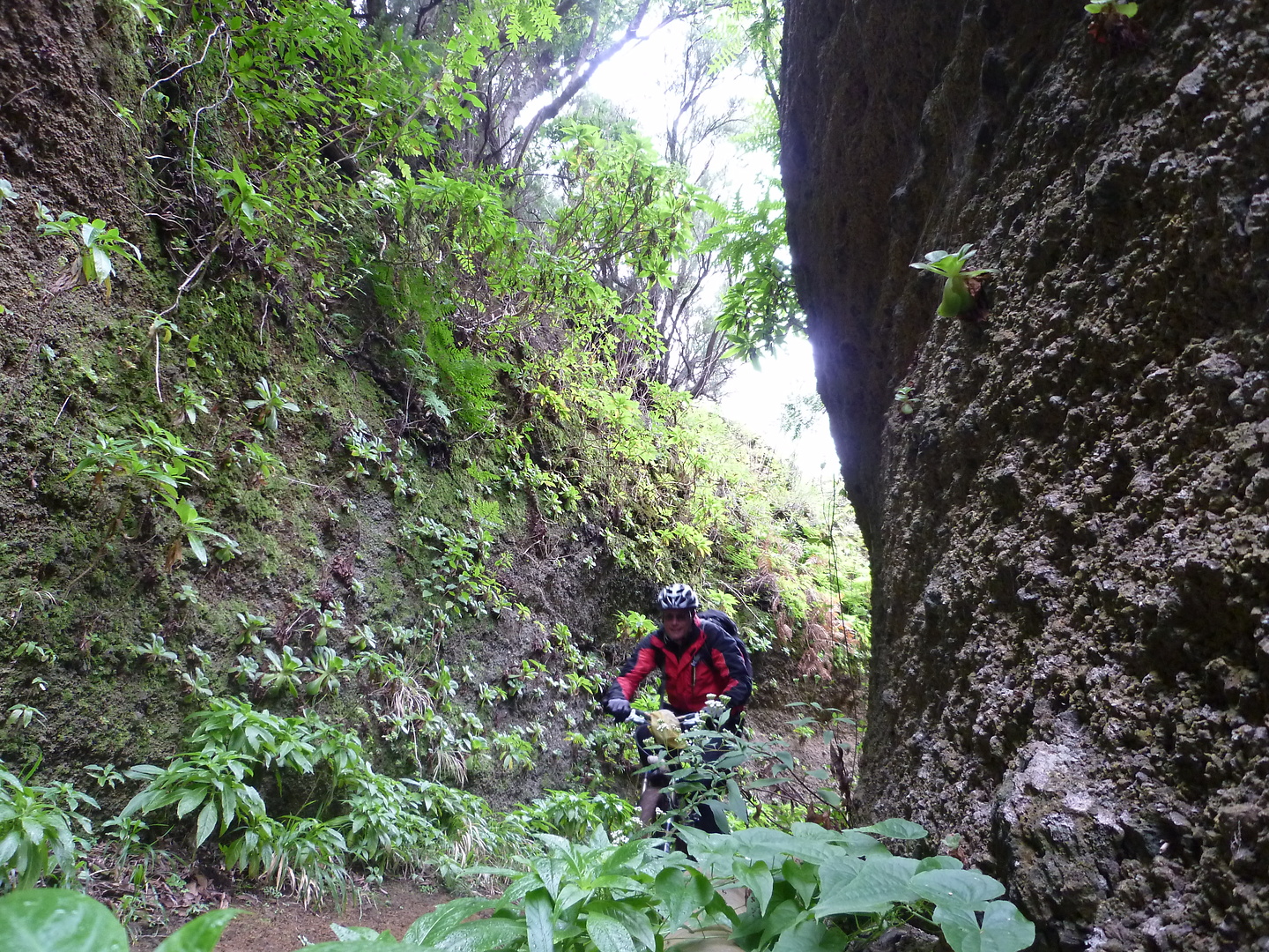 punta-trail11.jpg