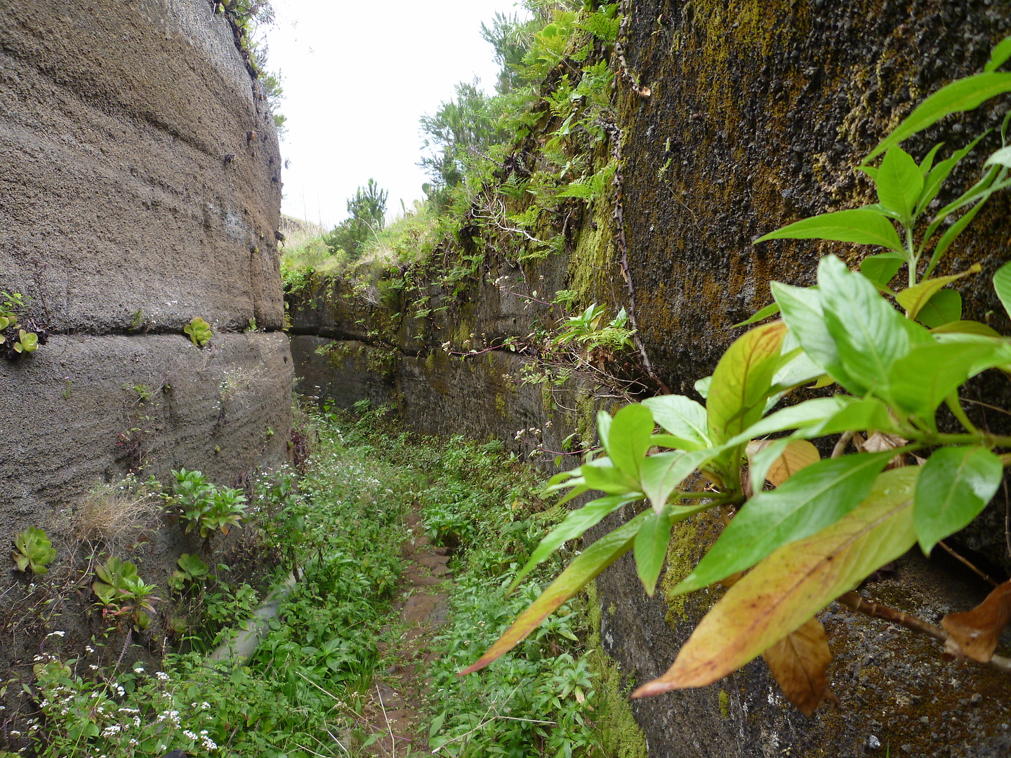 punta-trail12.jpg