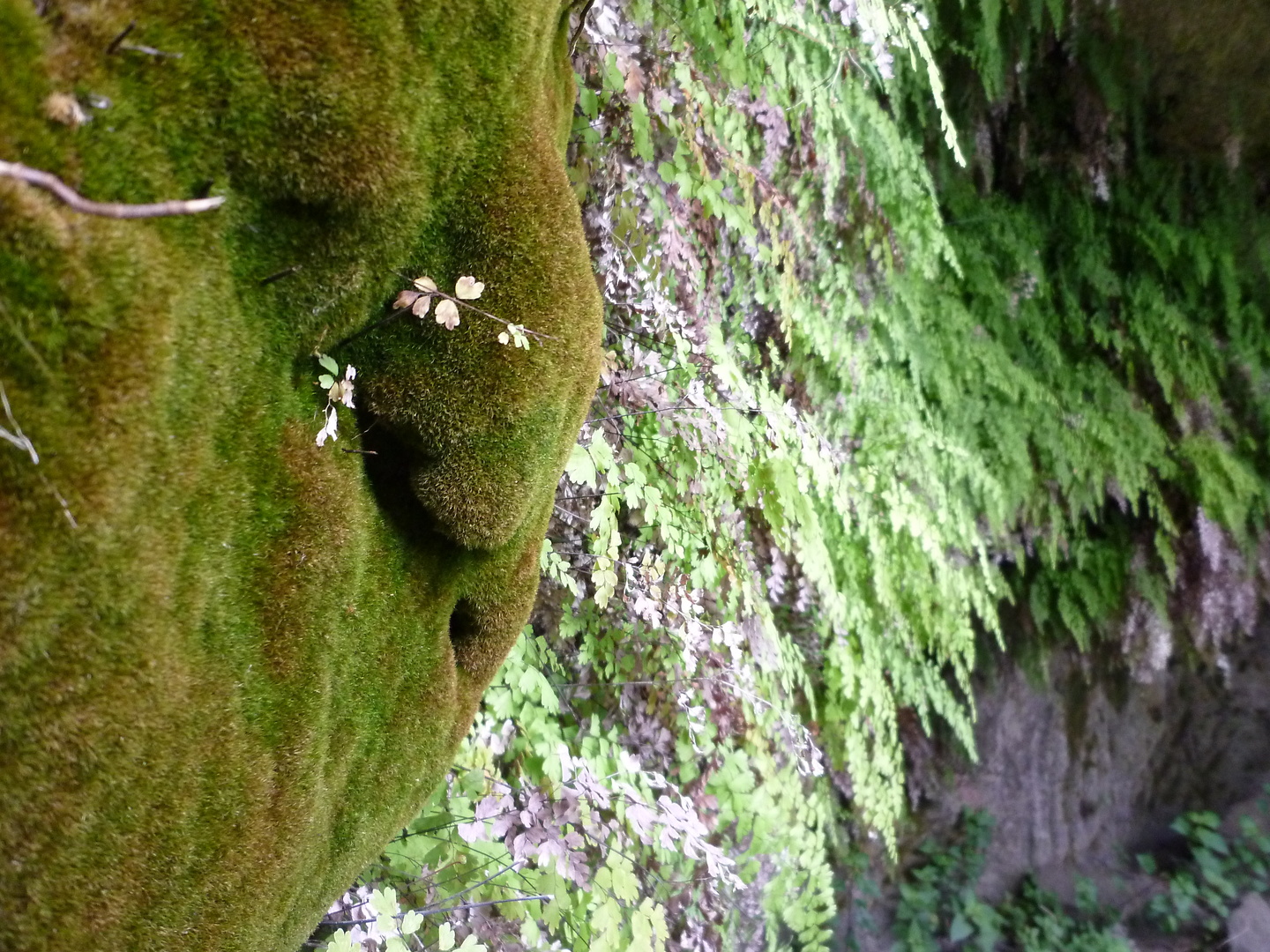 punta-trail13.jpg