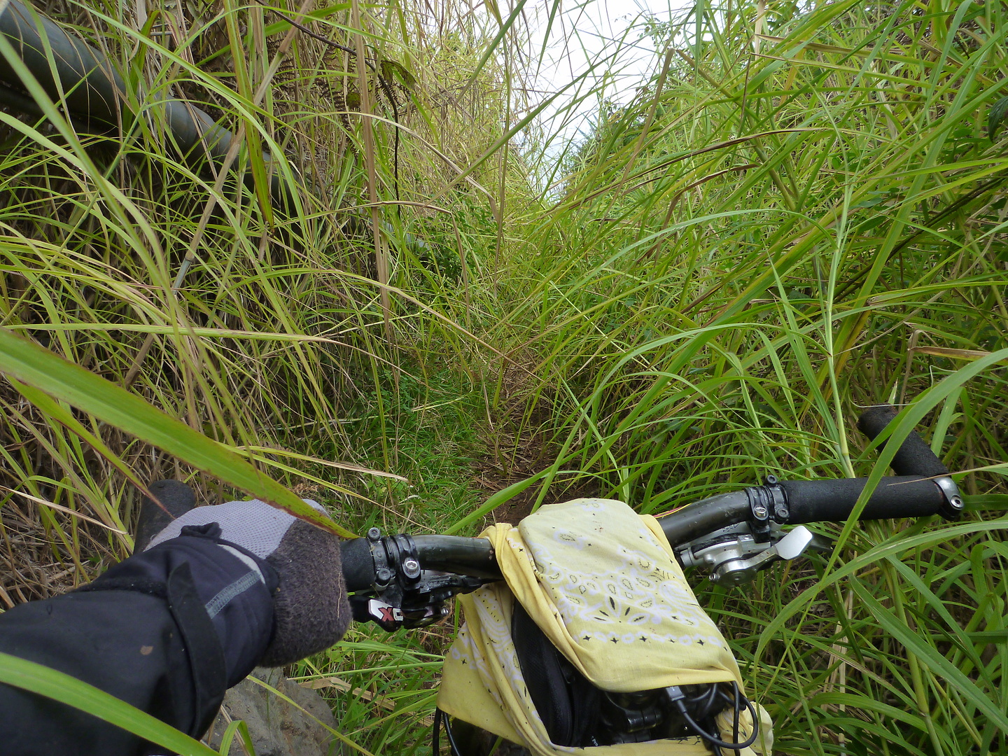 punta-trail15.jpg