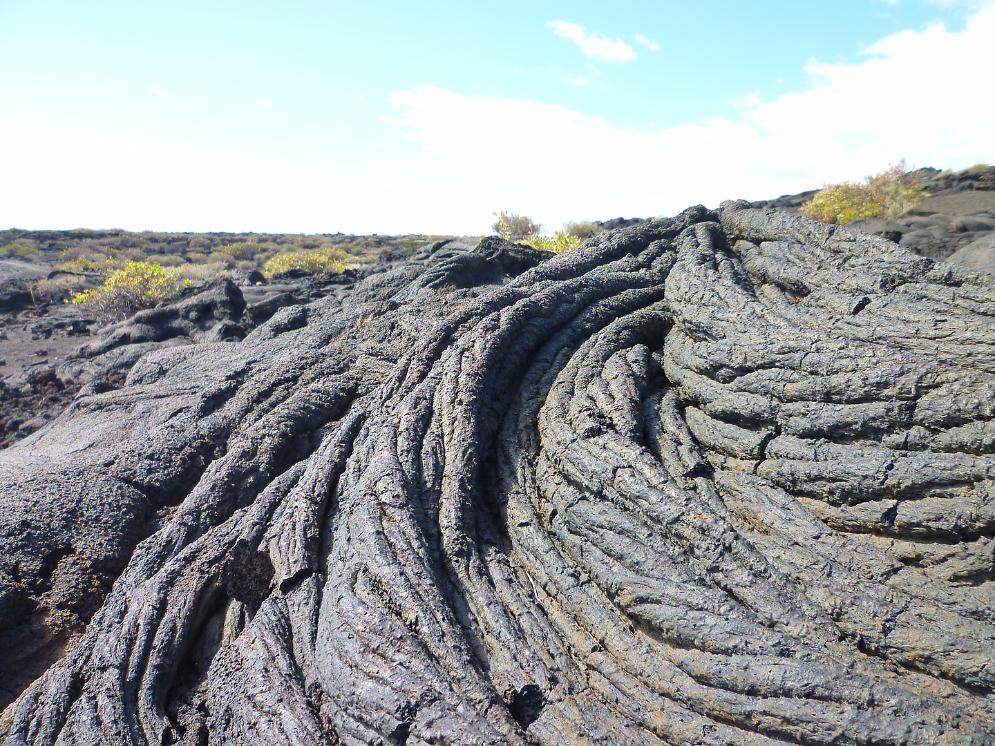 restinga-lavafeld.jpg