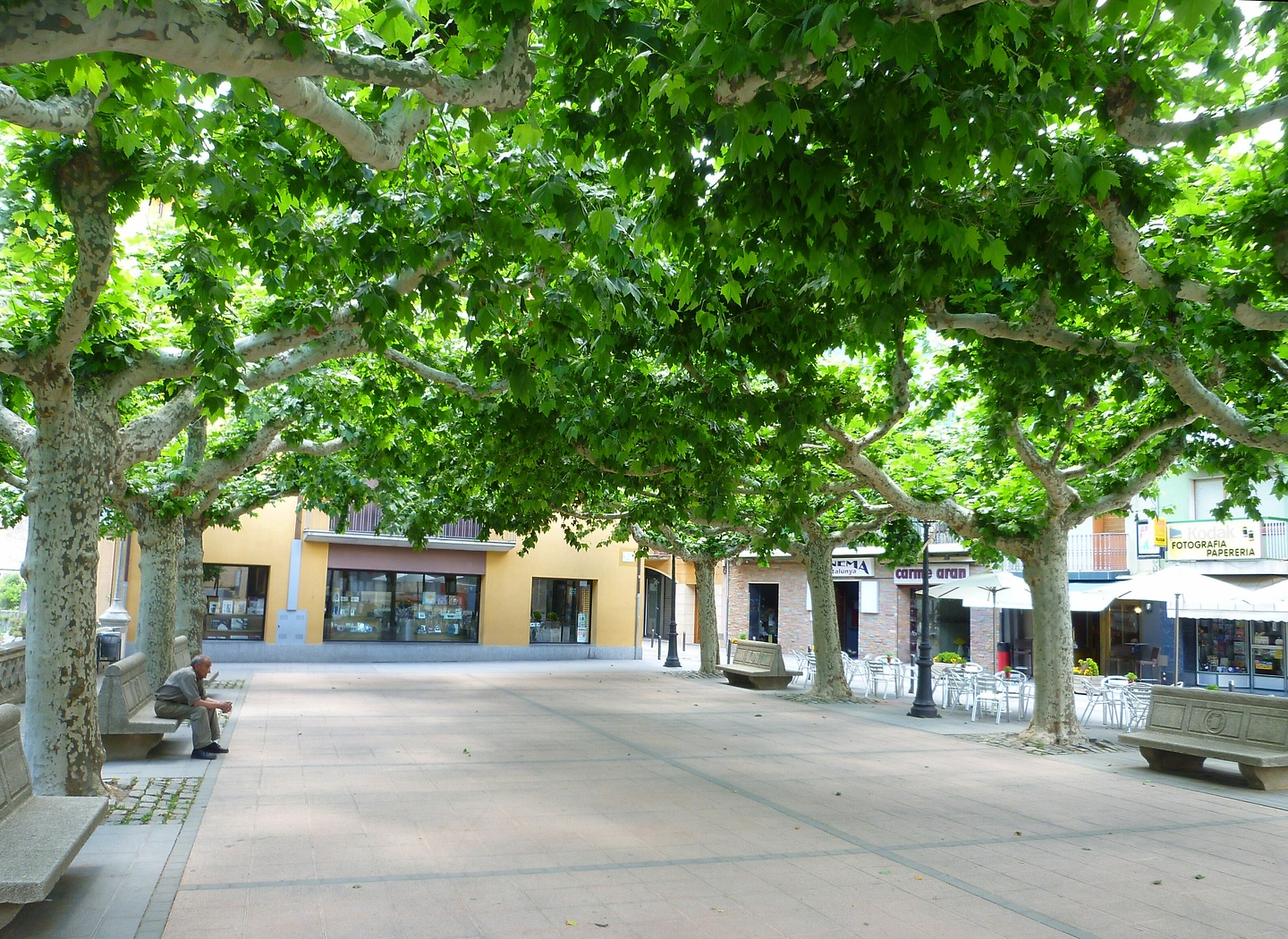 ribes-platz.jpg