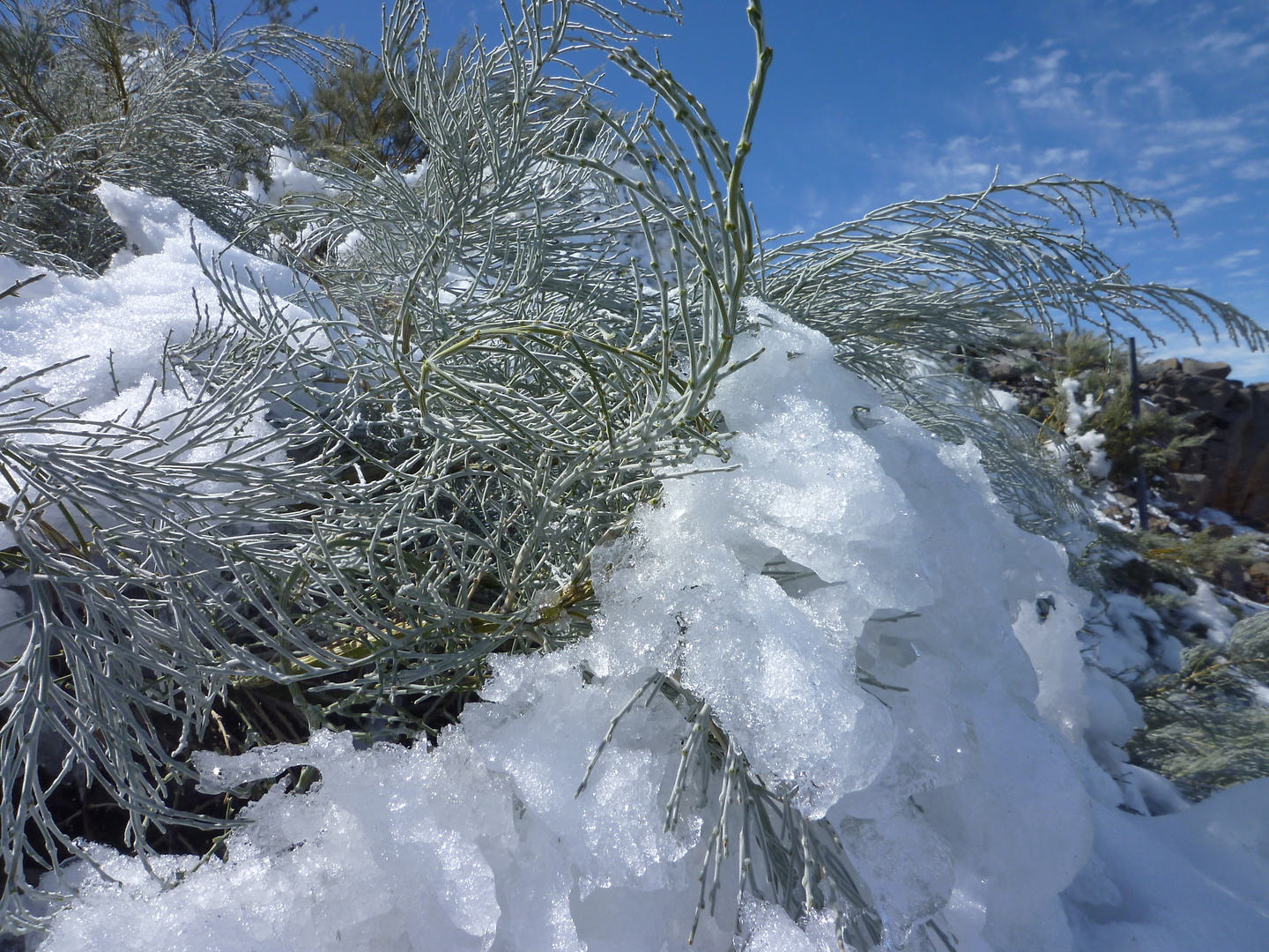 roque-schnee2.jpg