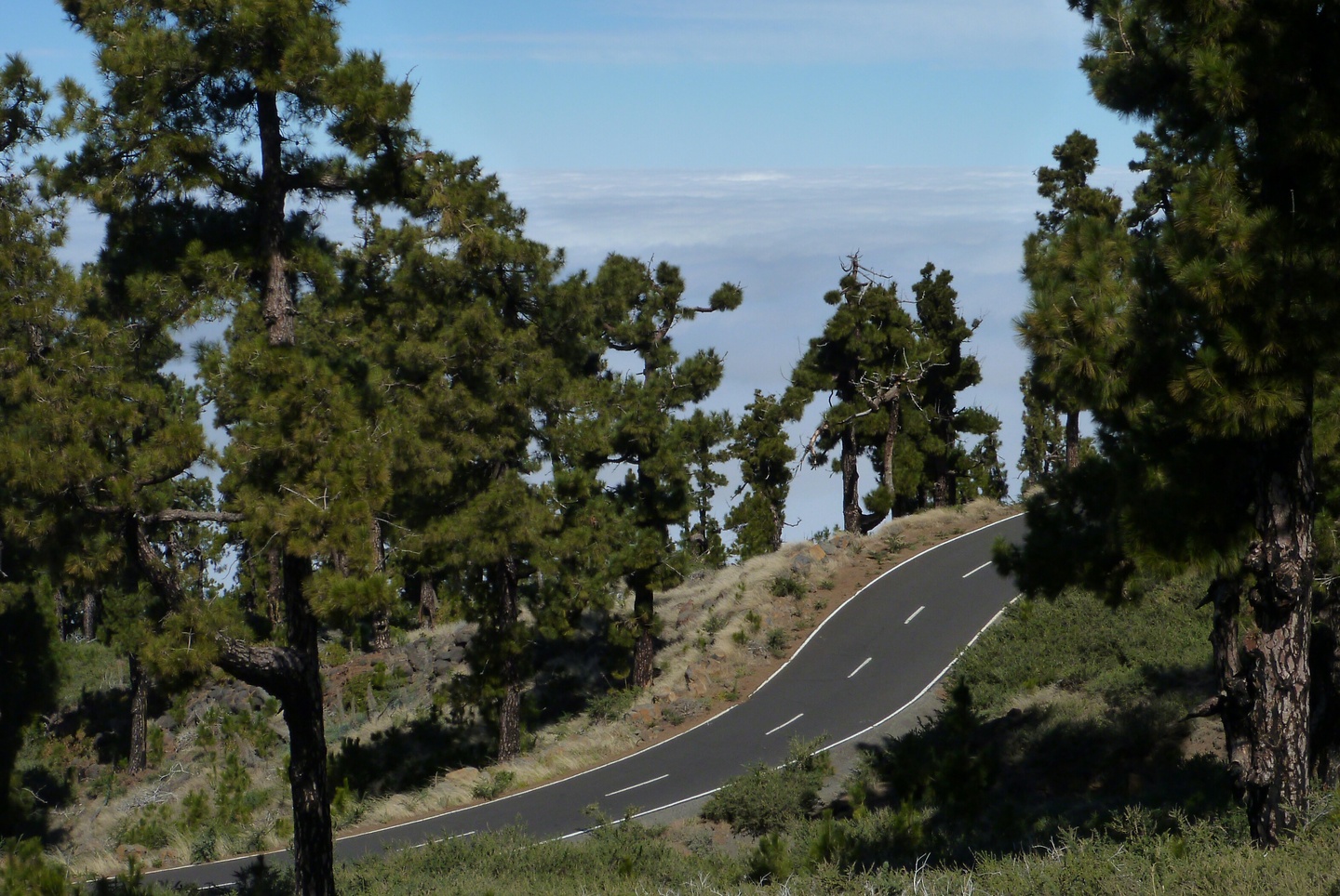 roque-uphill2.jpg
