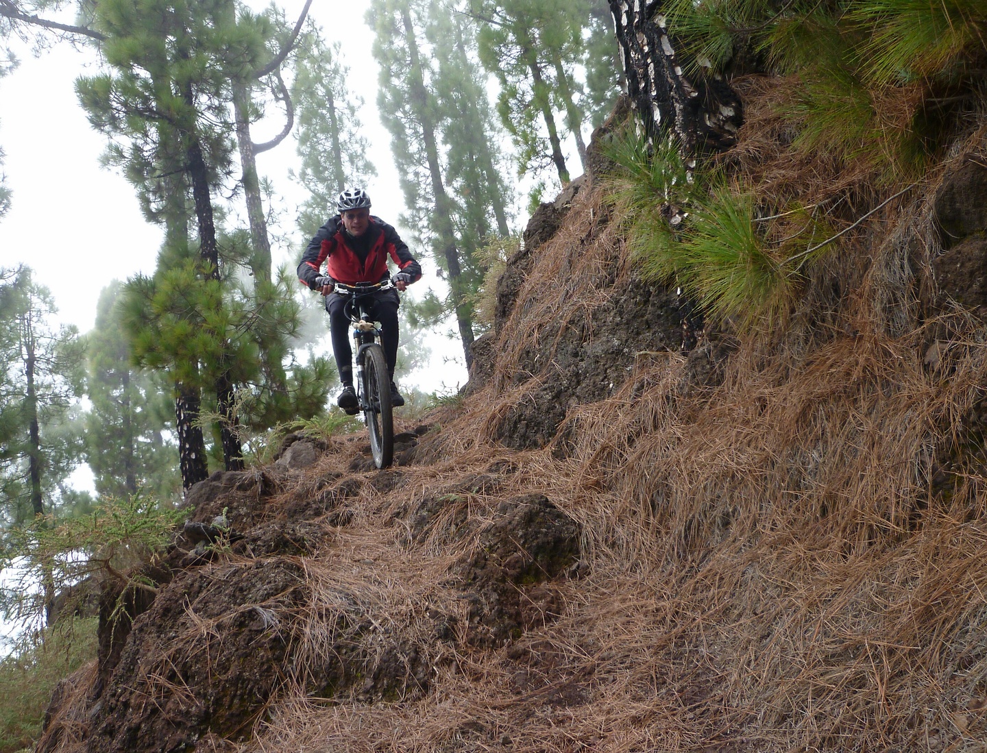 tijarafe-trail4.jpg