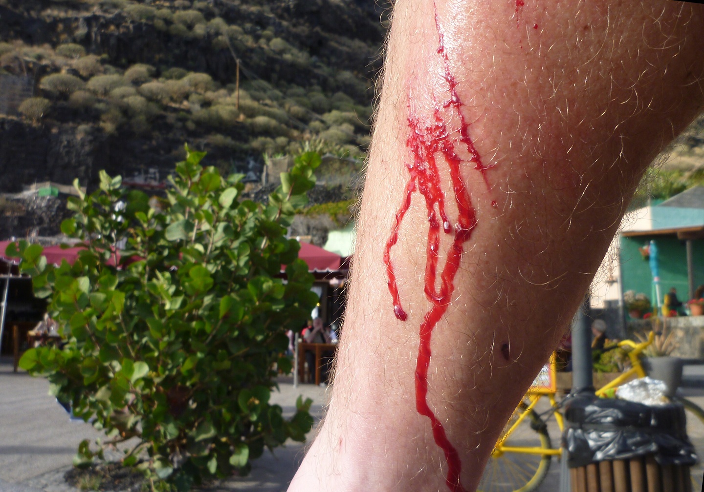 time-blut.jpg