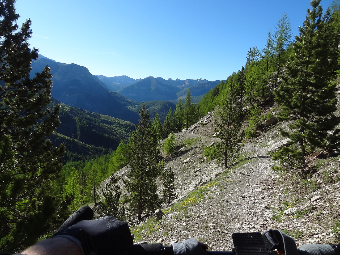 allos-trail4.jpg