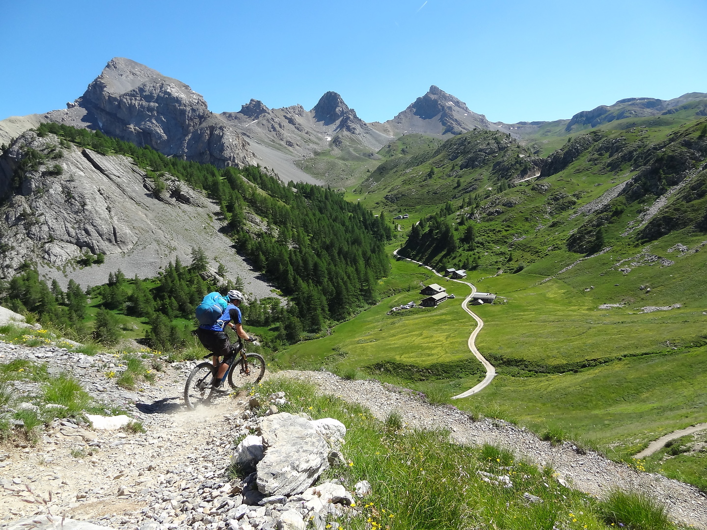 ayes-trail4.jpg