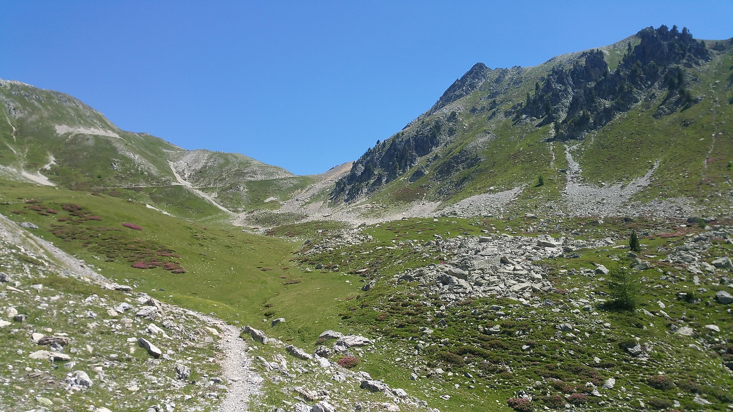 ayes-uphill2.jpg