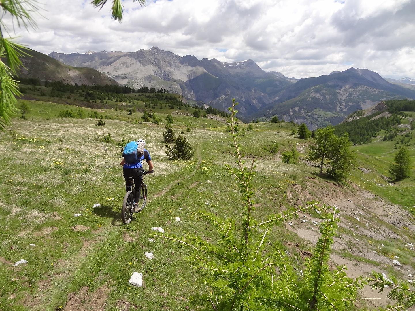 champs-trail2.jpg