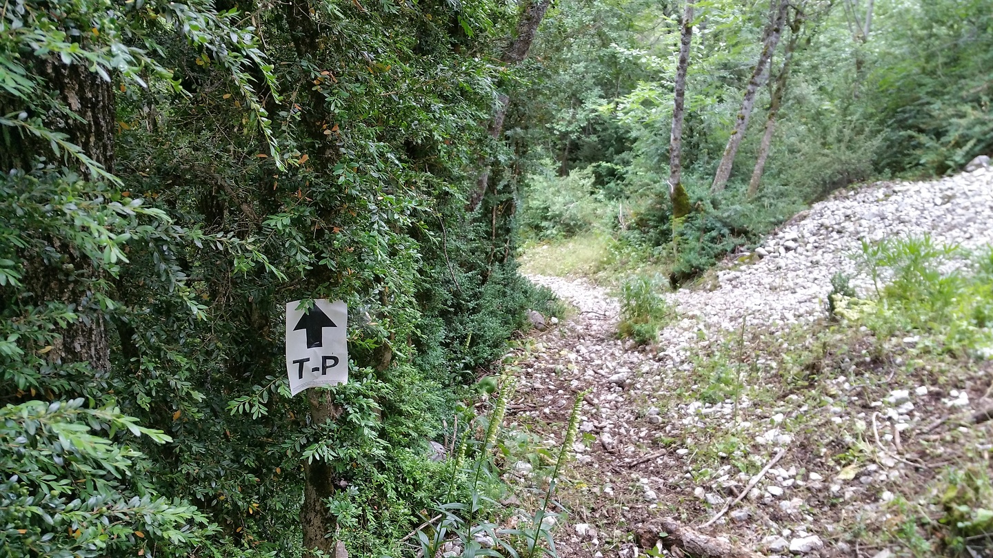 champs-trailtp.jpg
