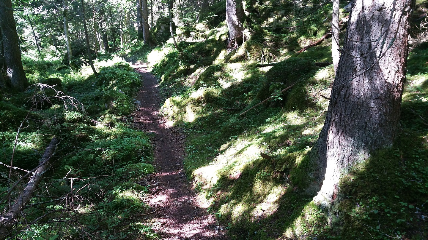 contamines-trail2.jpg