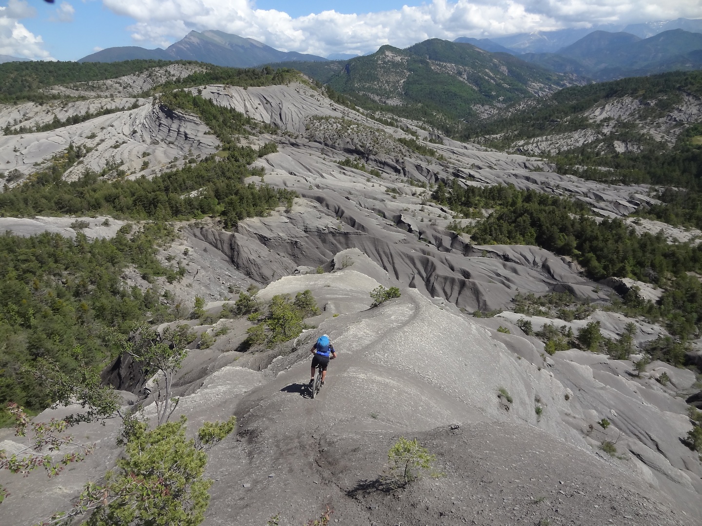 draix-trail2.jpg