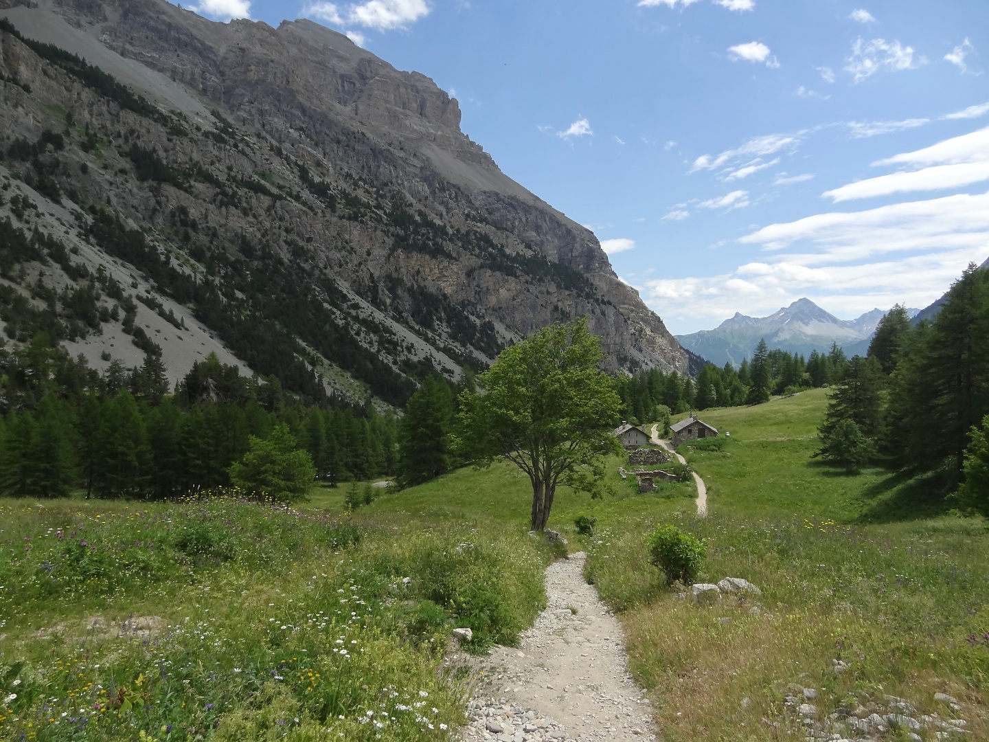 etroite-trail11.jpg