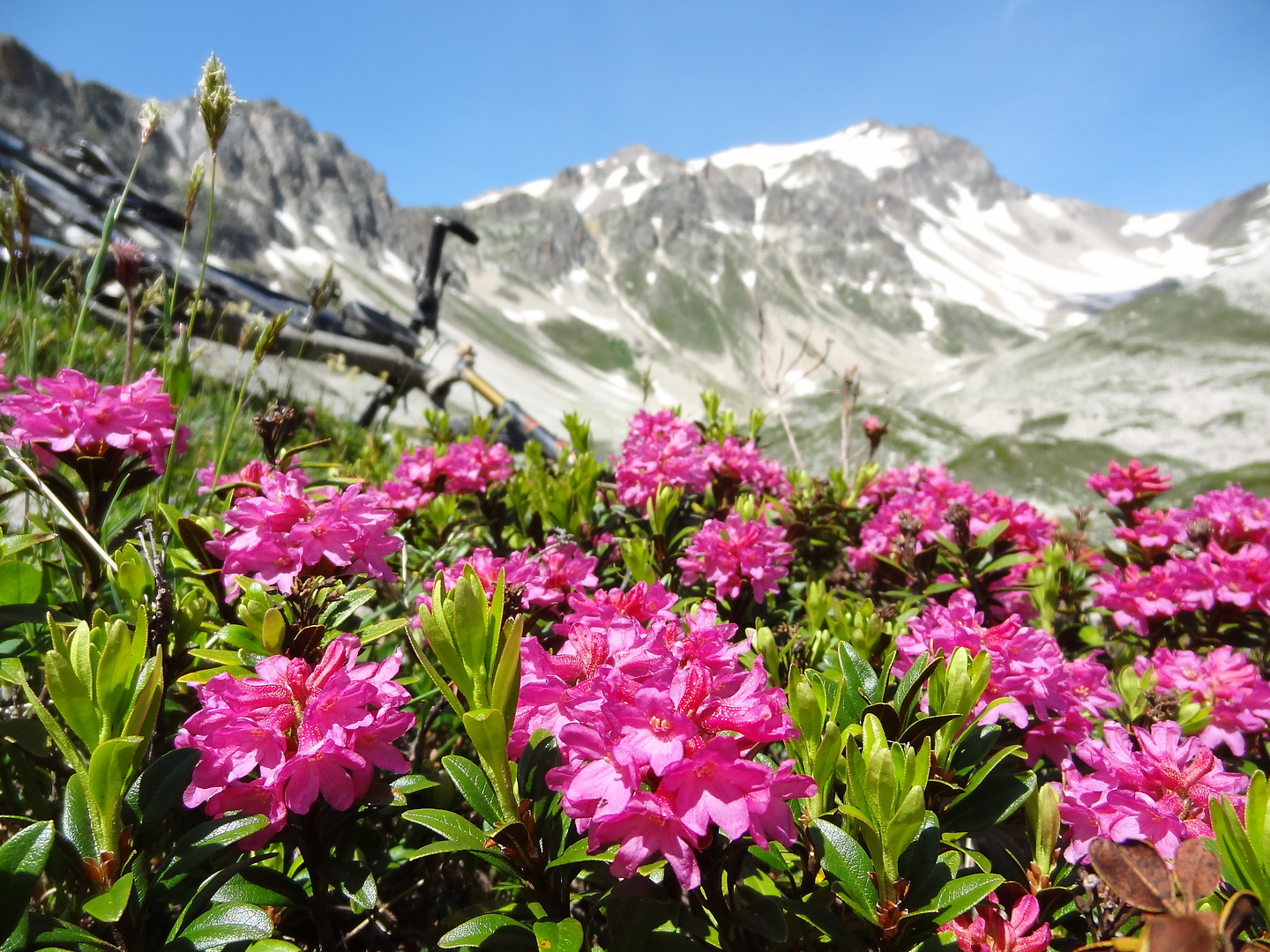 etroite-trail5.jpg