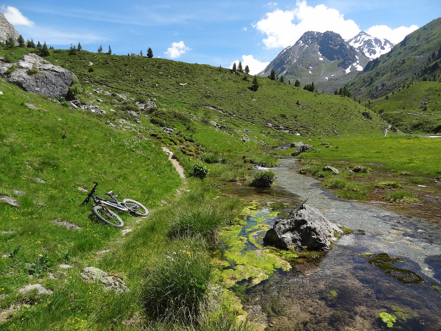 fruit-trail18.jpg