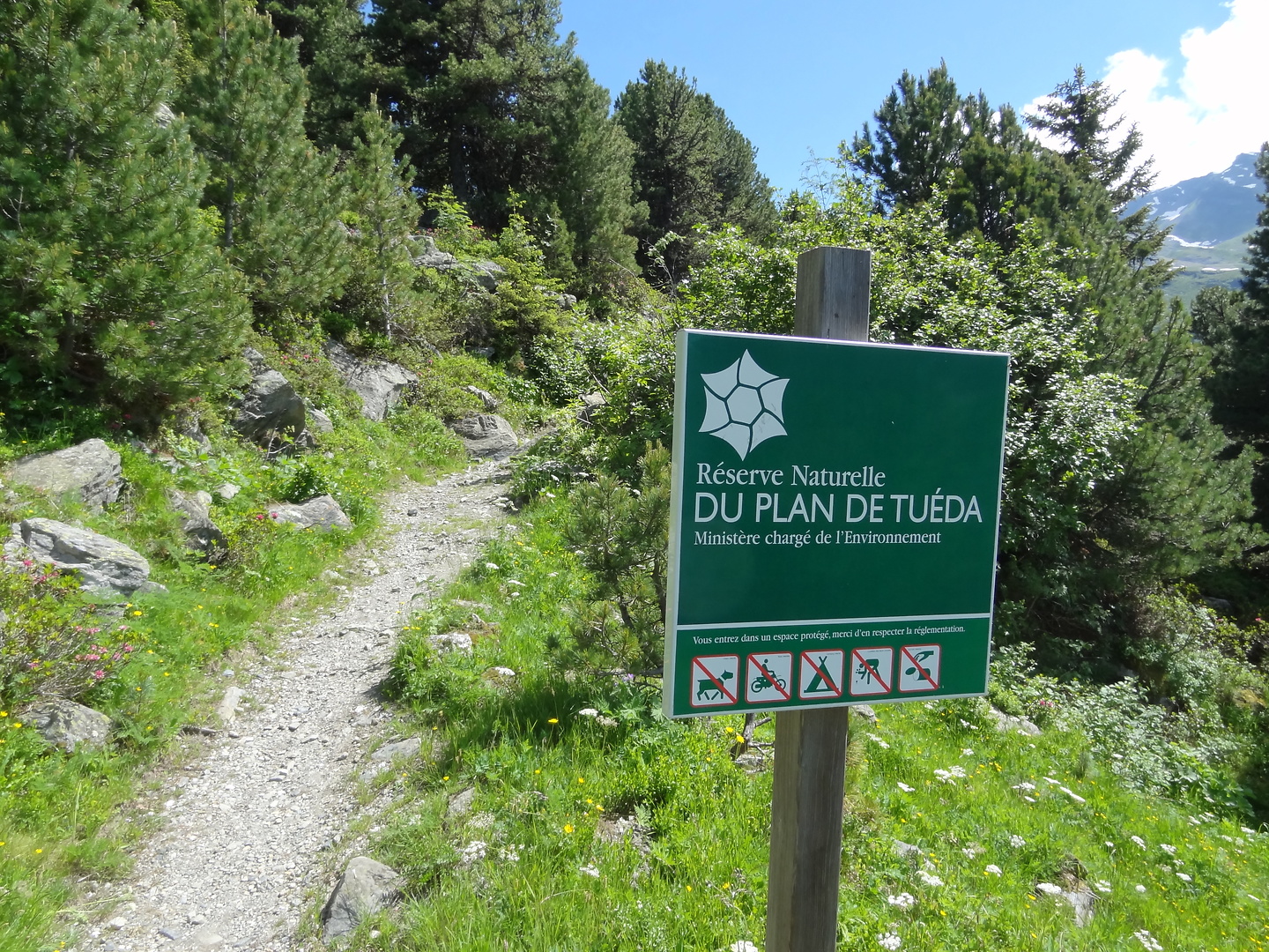 fruit-trail19.jpg