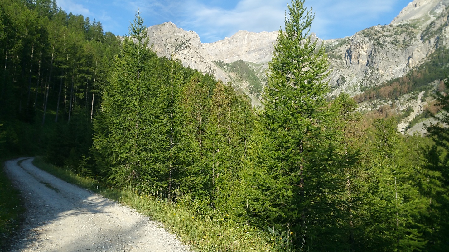 furfande-uphill1.jpg