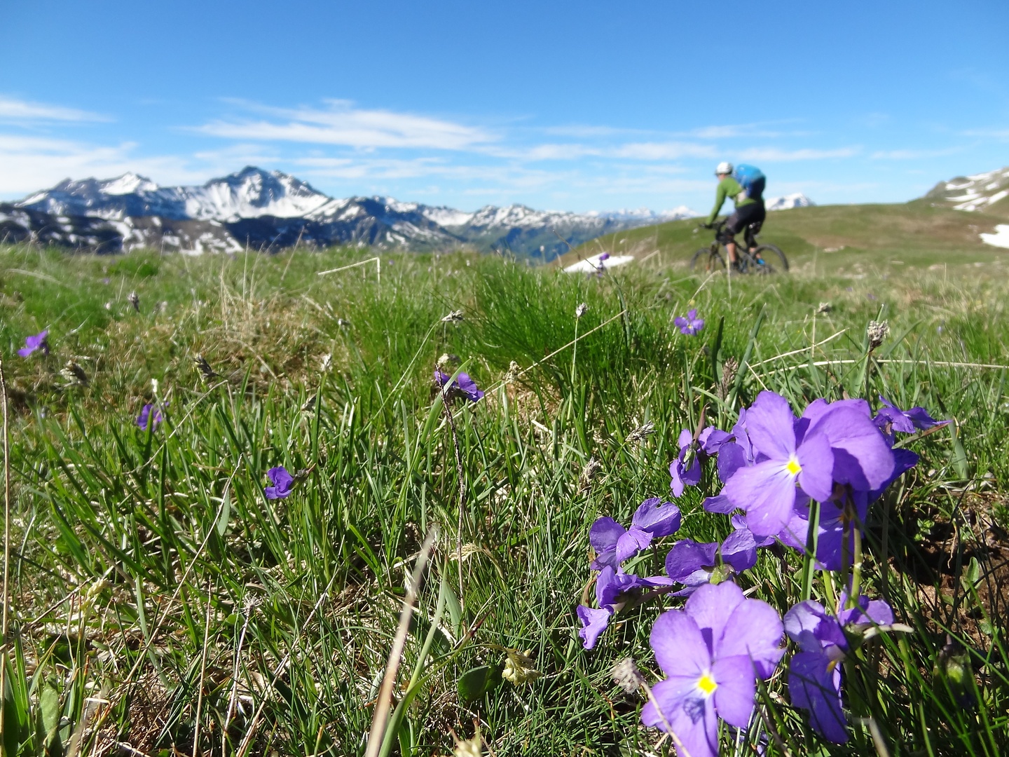 gittaz-trail1.jpg