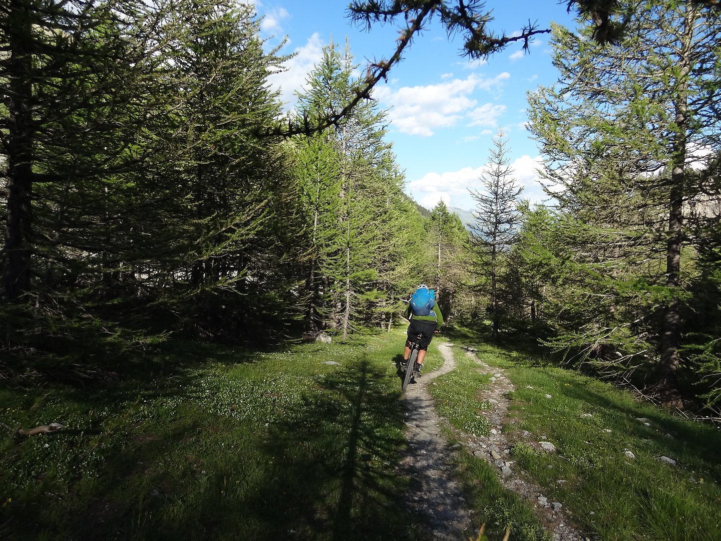 lauzon-trail9.jpg