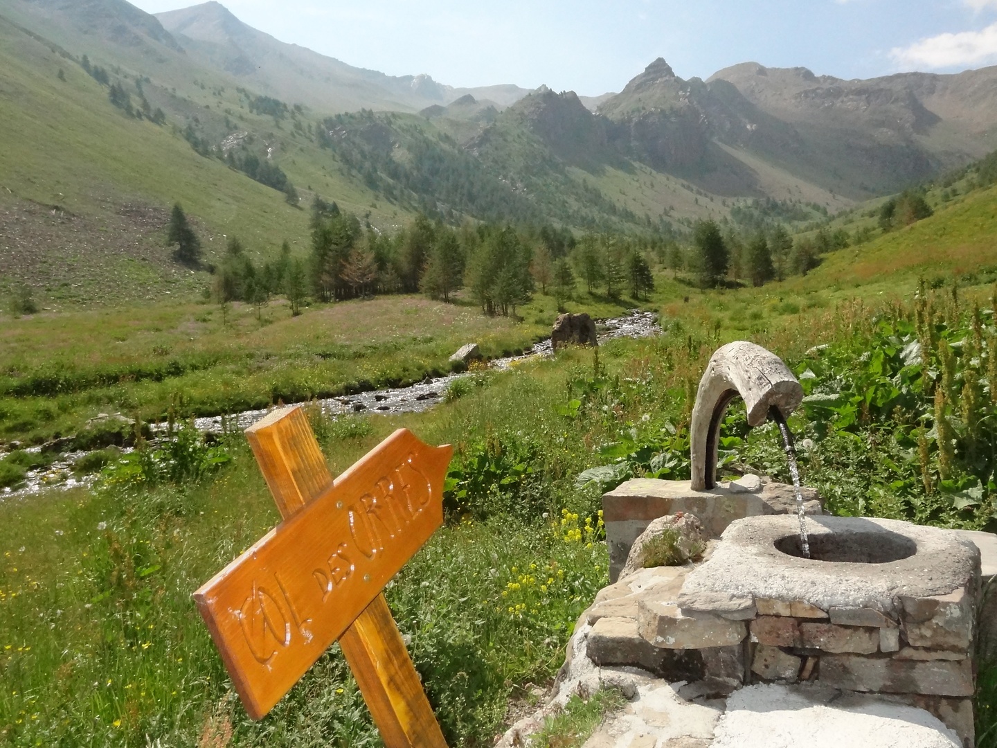 orres-sign.jpg