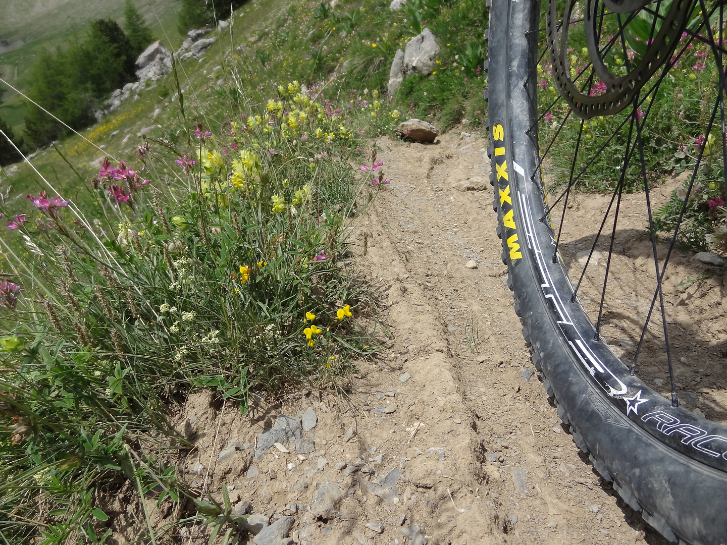 orres-trail2.jpg
