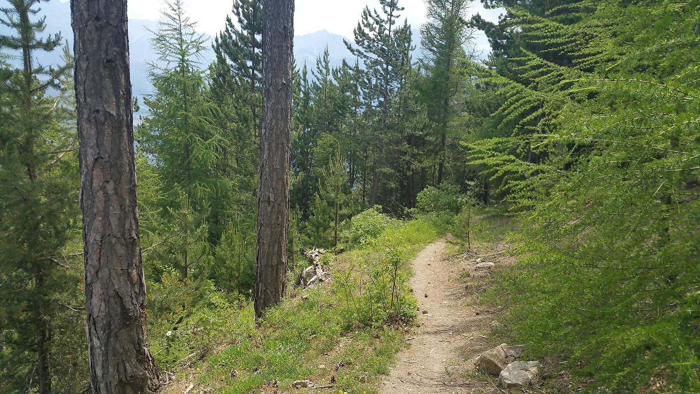 orres-trail4.jpg