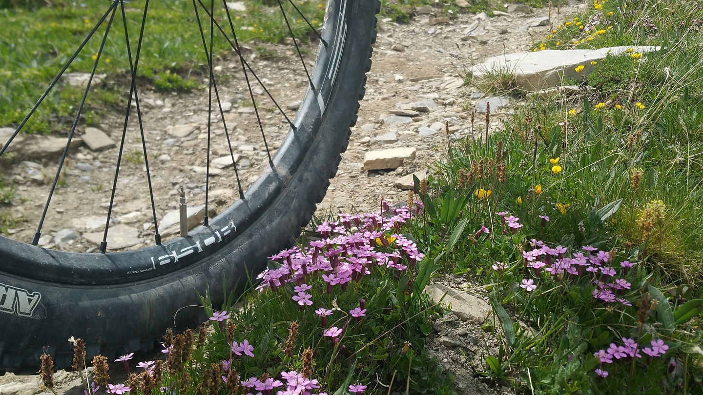orres-uphill2.jpg