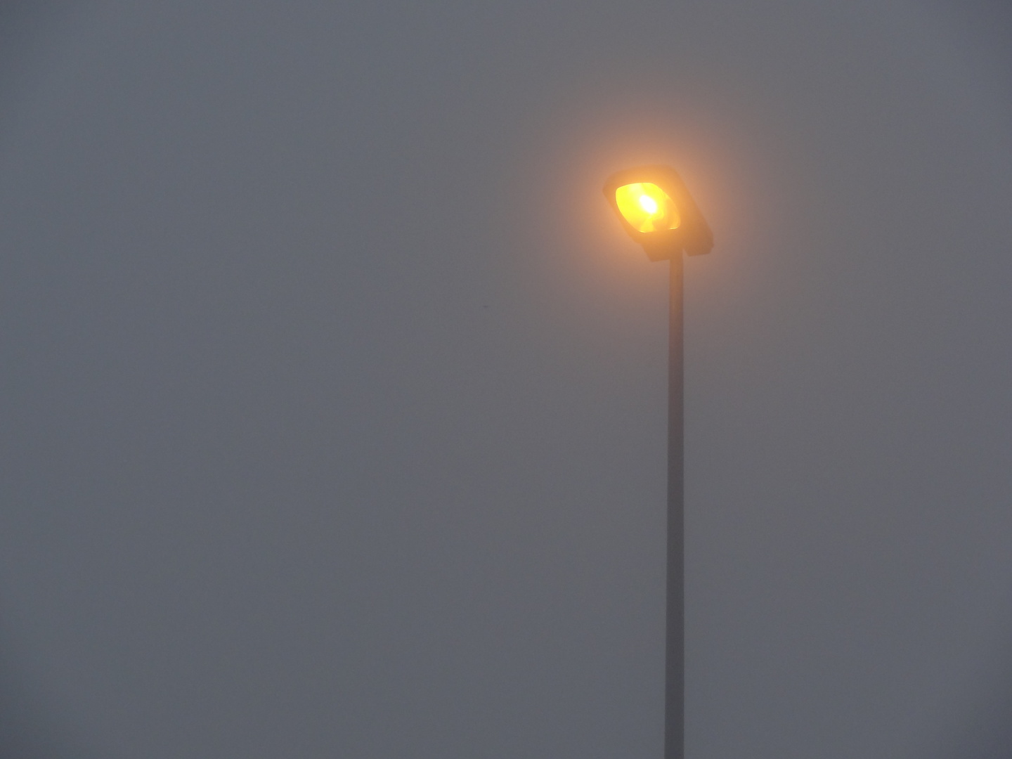 saleve-fog.jpg
