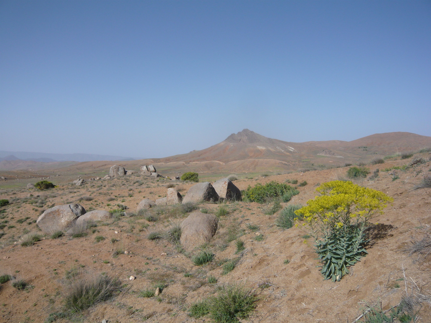 askaoun1.jpg