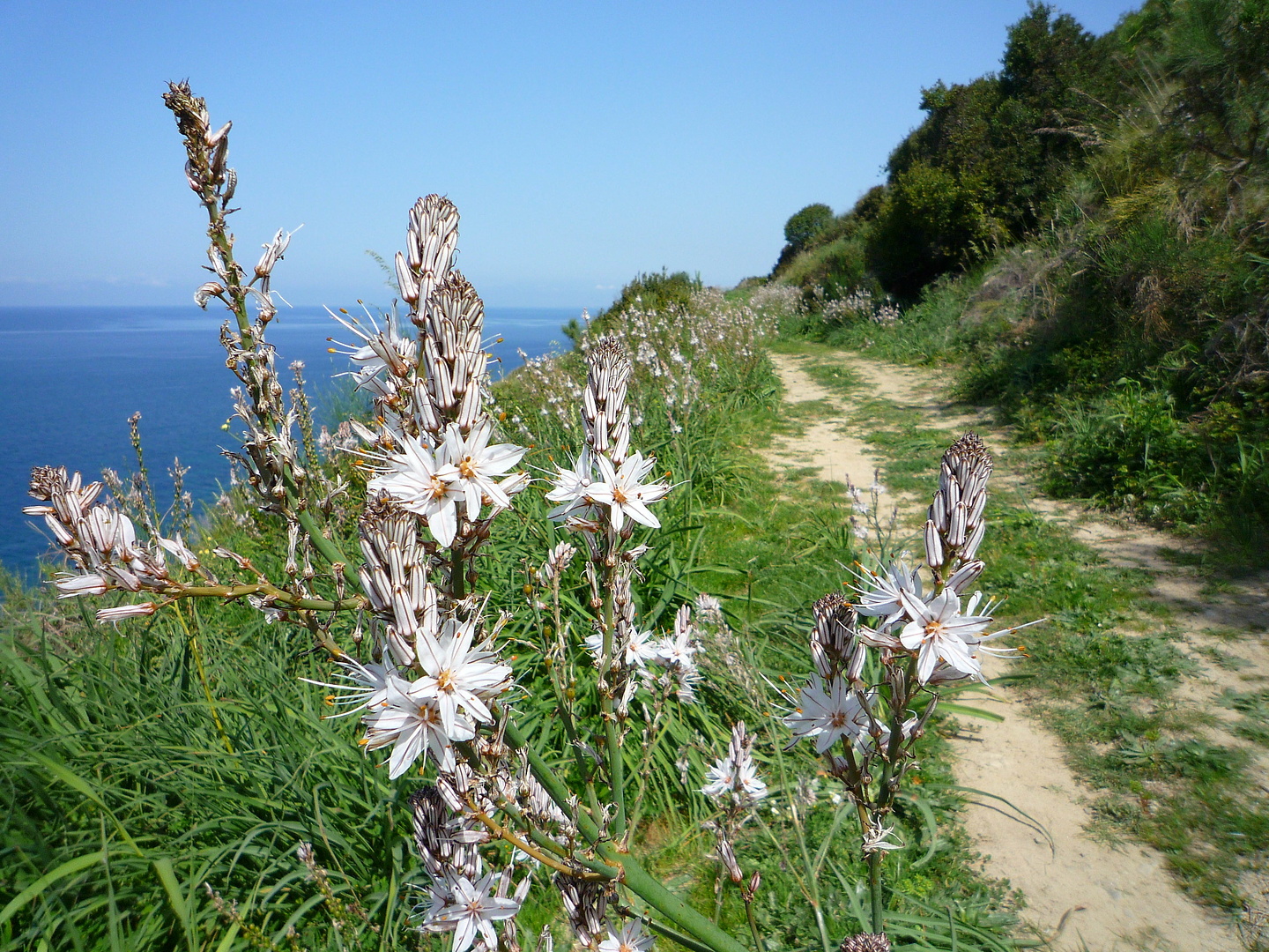 agropoli-trail3.jpg