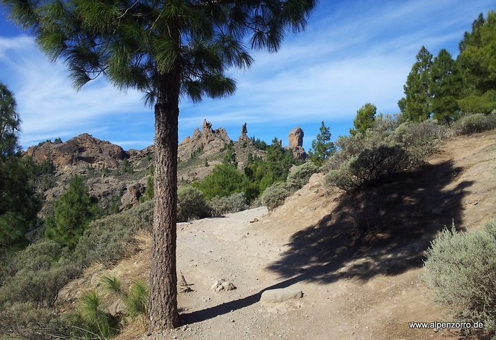 nublo-uphill.jpg